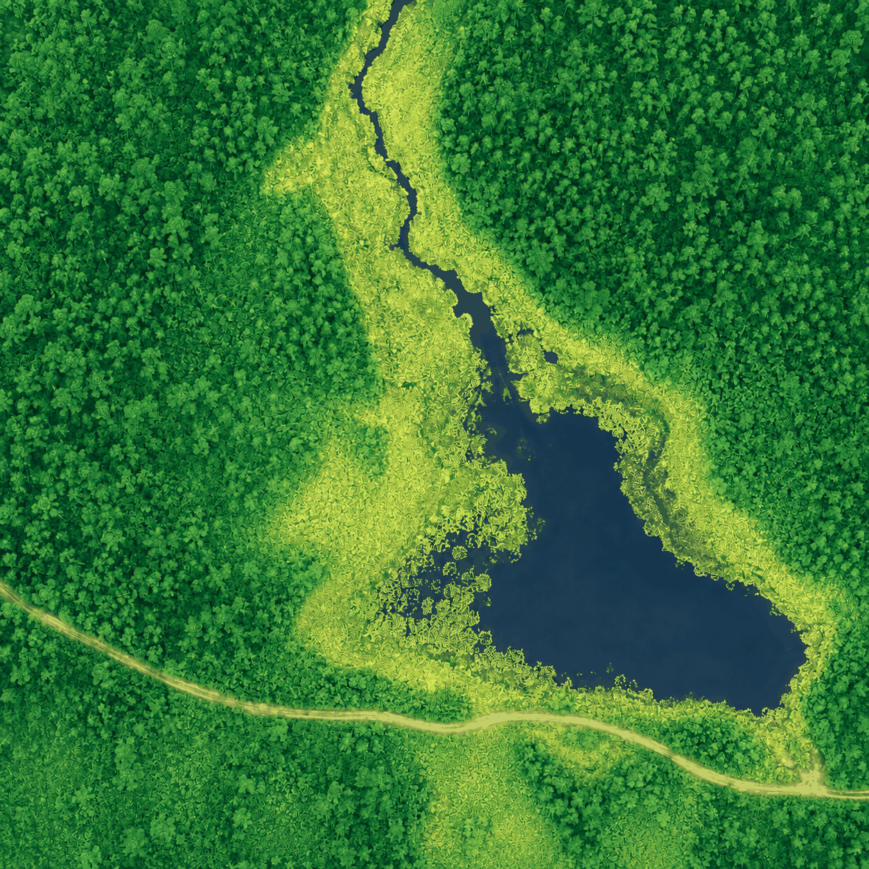 Simulated wetland NDVI map used in the drone remote-sensing instructional unit.