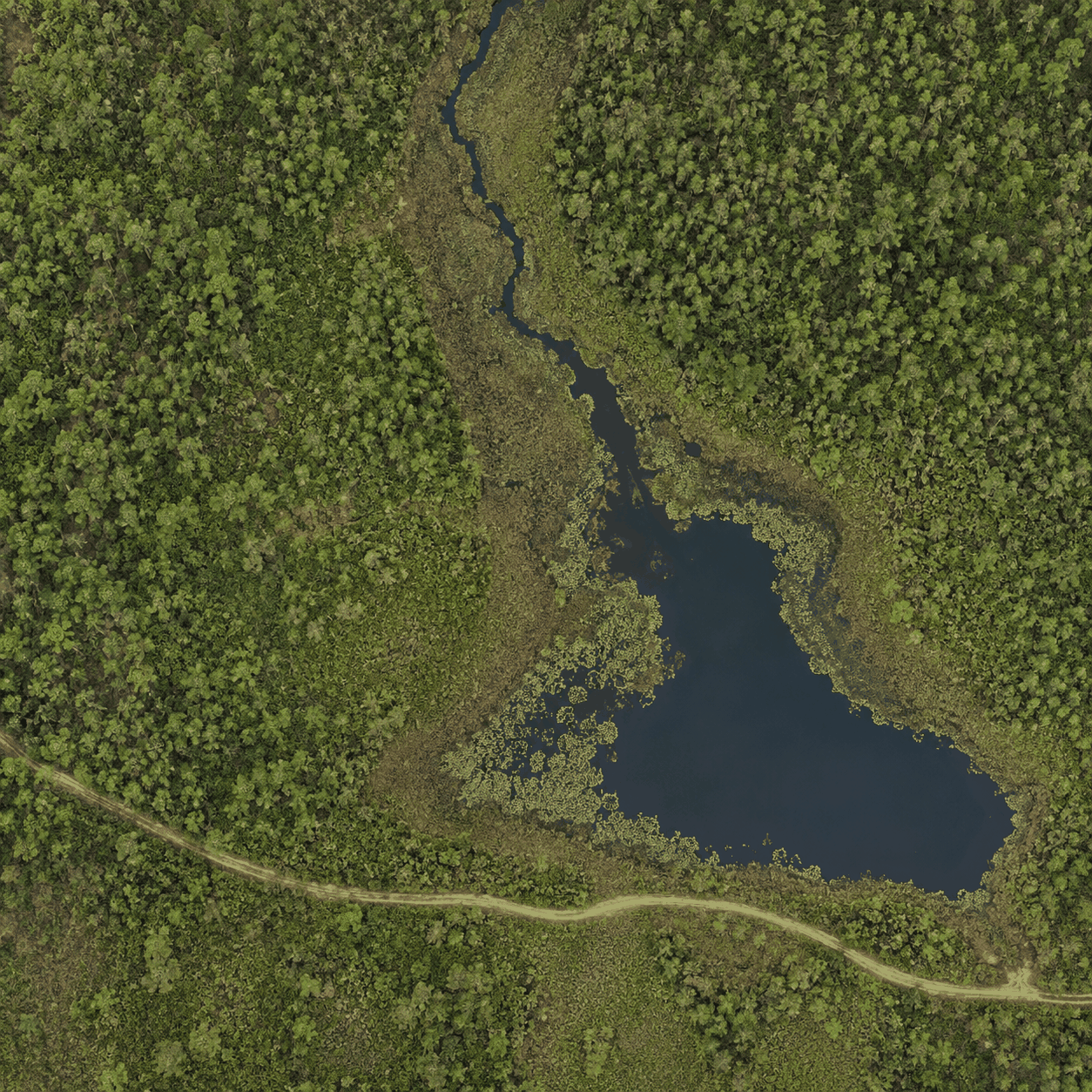 Simulated natural-color drone orthomosaic of a forested wetland with a creek, open-water pond, and maintenance track.
