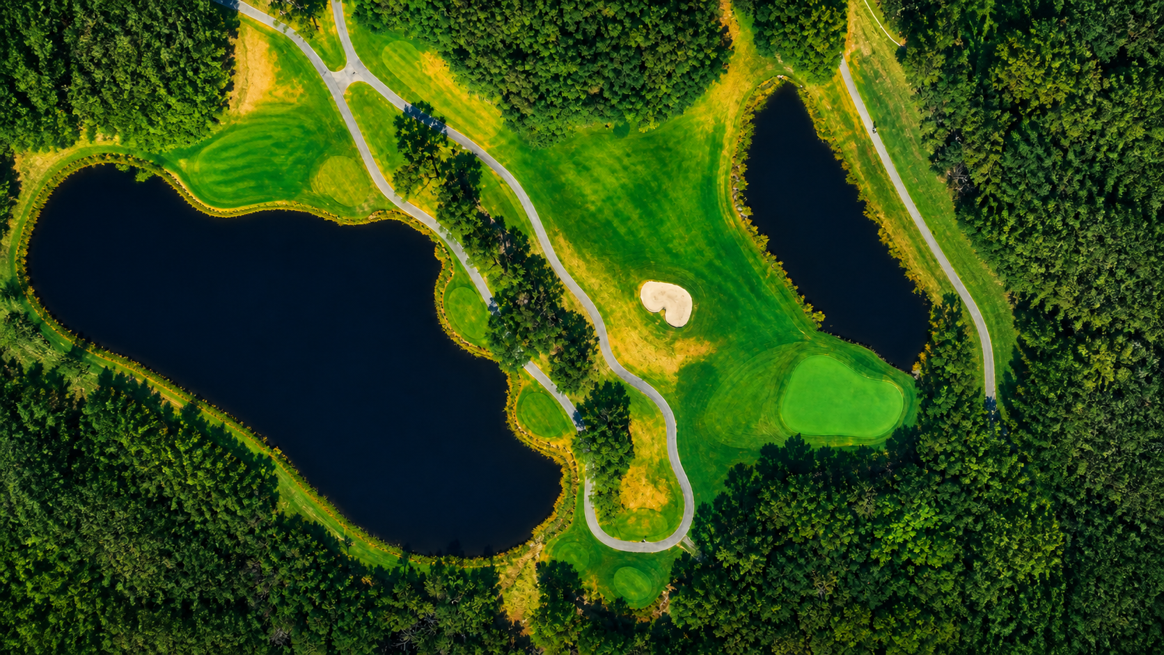 Top-down vegetation-index view of Celebration Golf Club Hole 5 from the tee complex to the green.